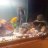 cichlid_81