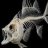 Fish Bones
