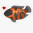 New-World-cichlids