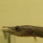M075
