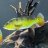 BanditAquatic16