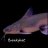 Columbian Shark Catfish