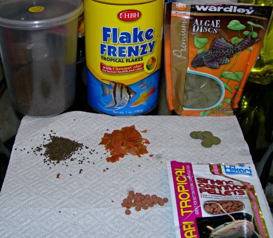 DSCN2588.jpg