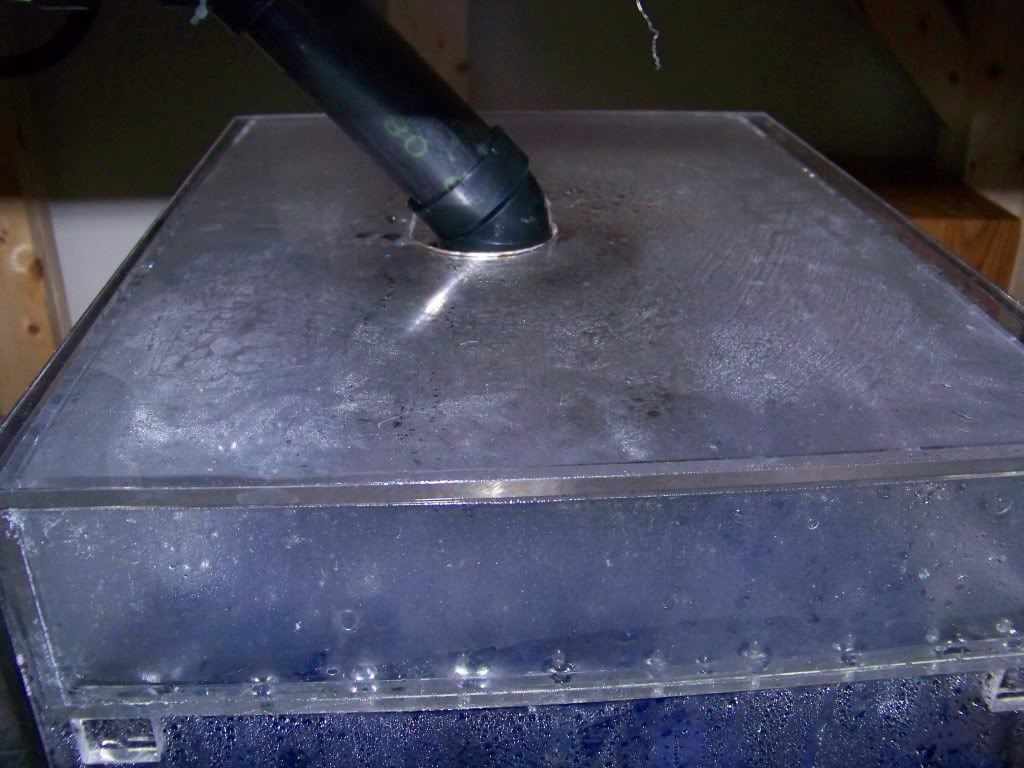100_6910.jpg