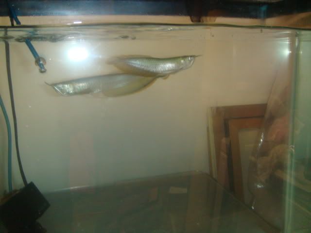 DSC01032.jpg