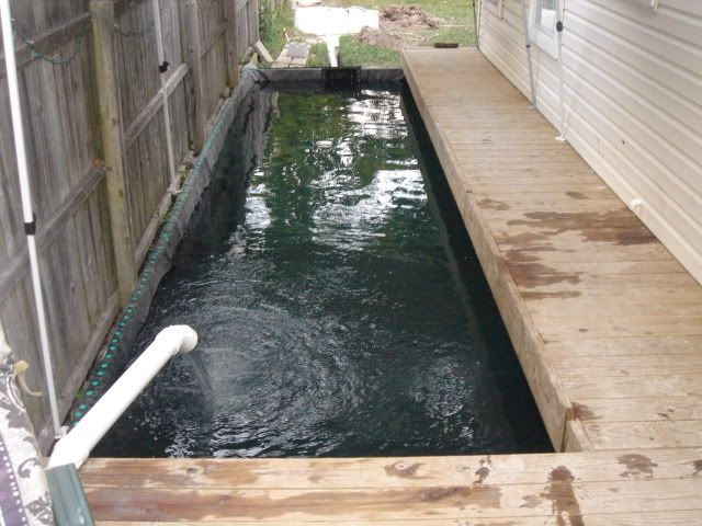 DSC05048.jpg