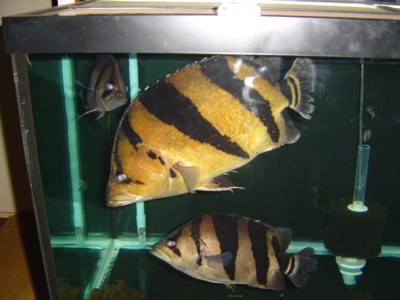 11-2-08034.jpg