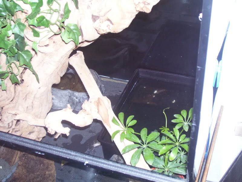 100_1162.jpg