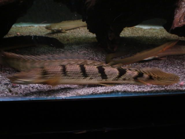 DSC08718.jpg