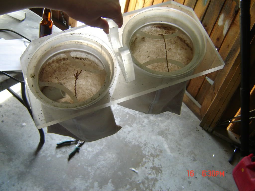 DSC04260.jpg