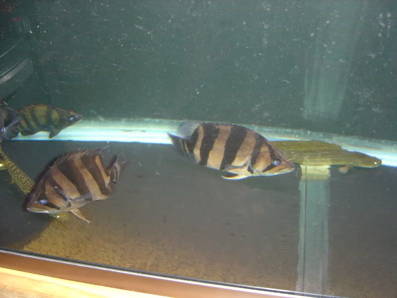 11-19-07030.jpg