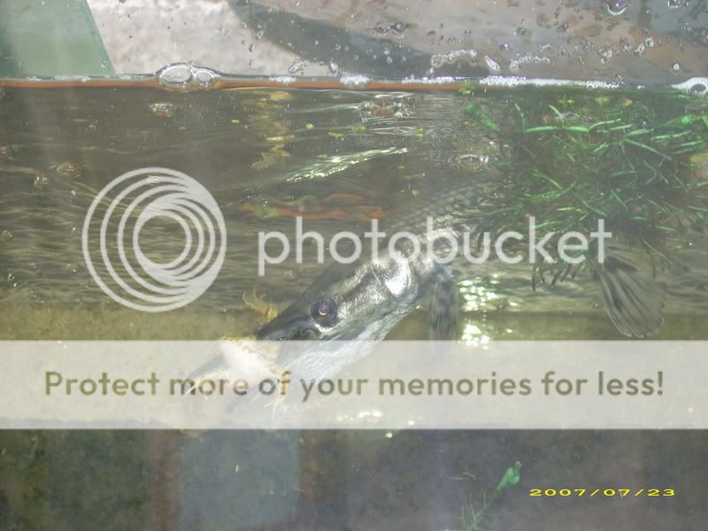 Picture044.jpg