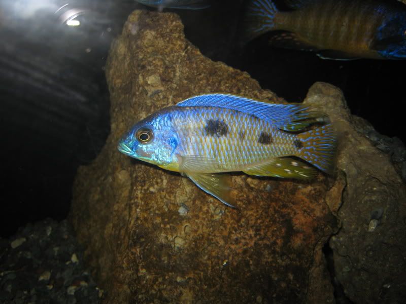 IMG_4613.jpg