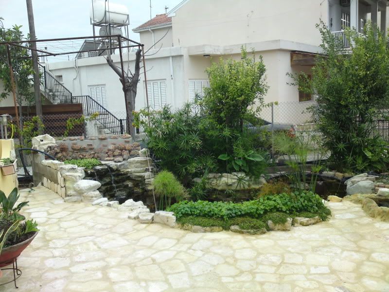DSC02764.jpg