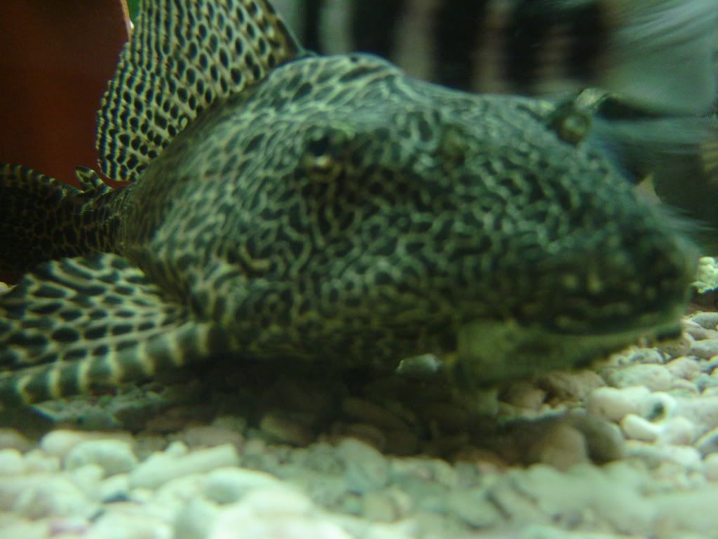 DSC01041.jpg