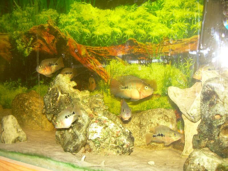 DSCN3025.jpg