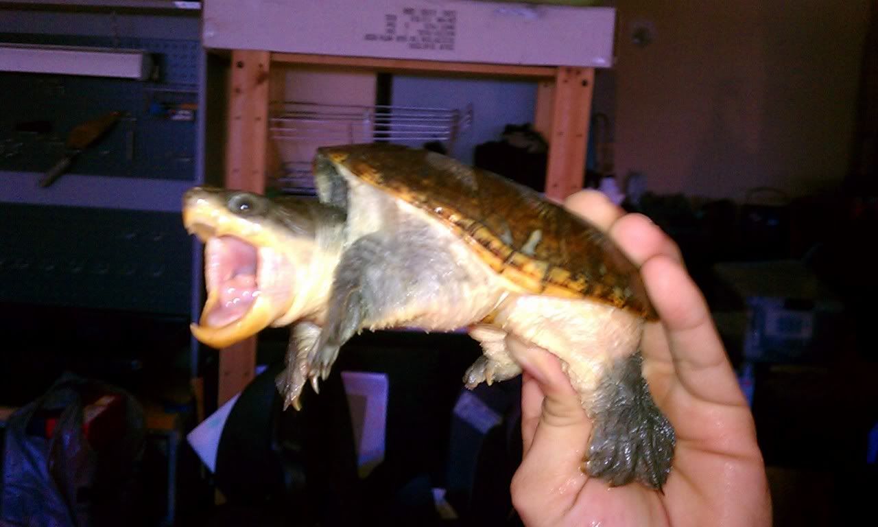IMAG0317.jpg