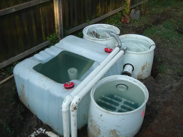 DSC05115.jpg