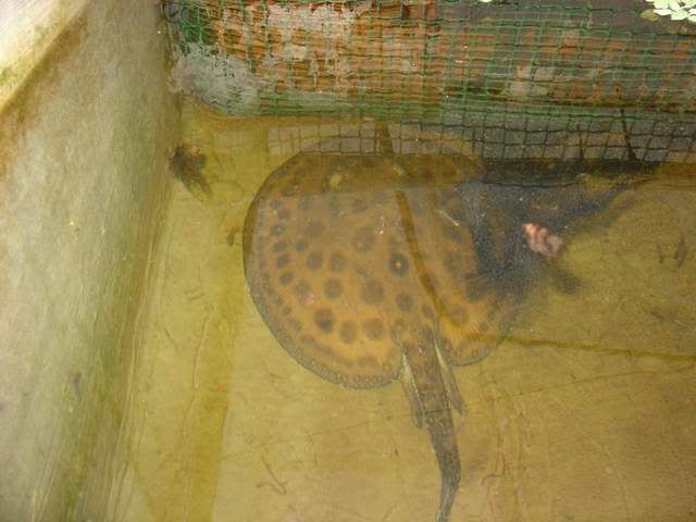 DSC05359.jpg