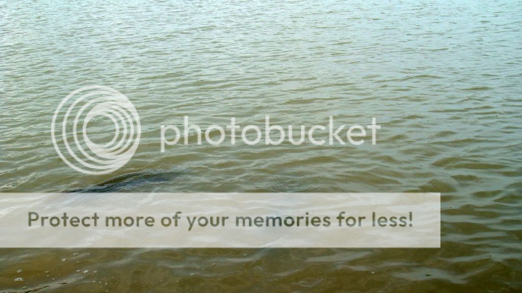 DSC05959.jpg
