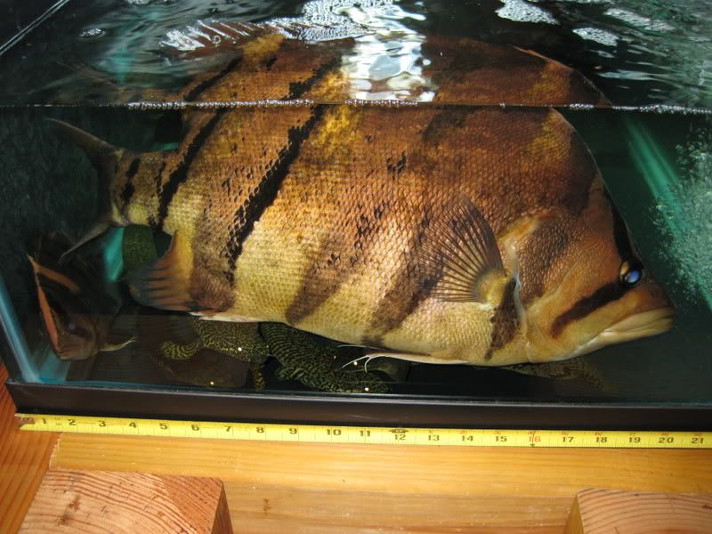 1-30-09018.jpg
