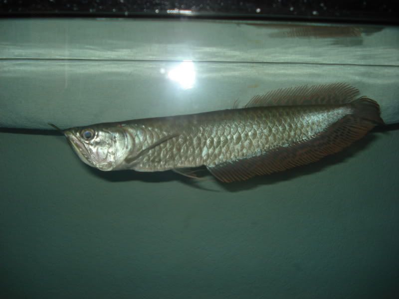 DSC01342.jpg