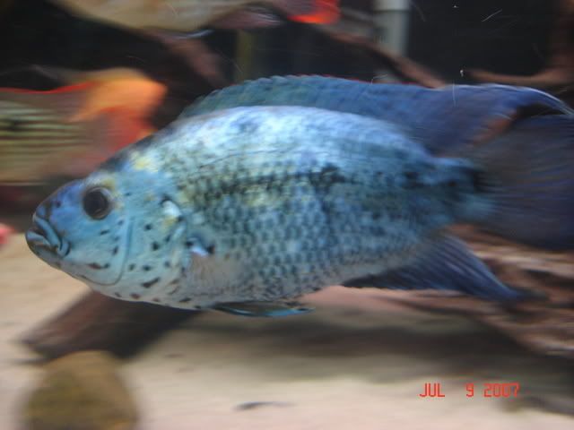 DSC06043.jpg
