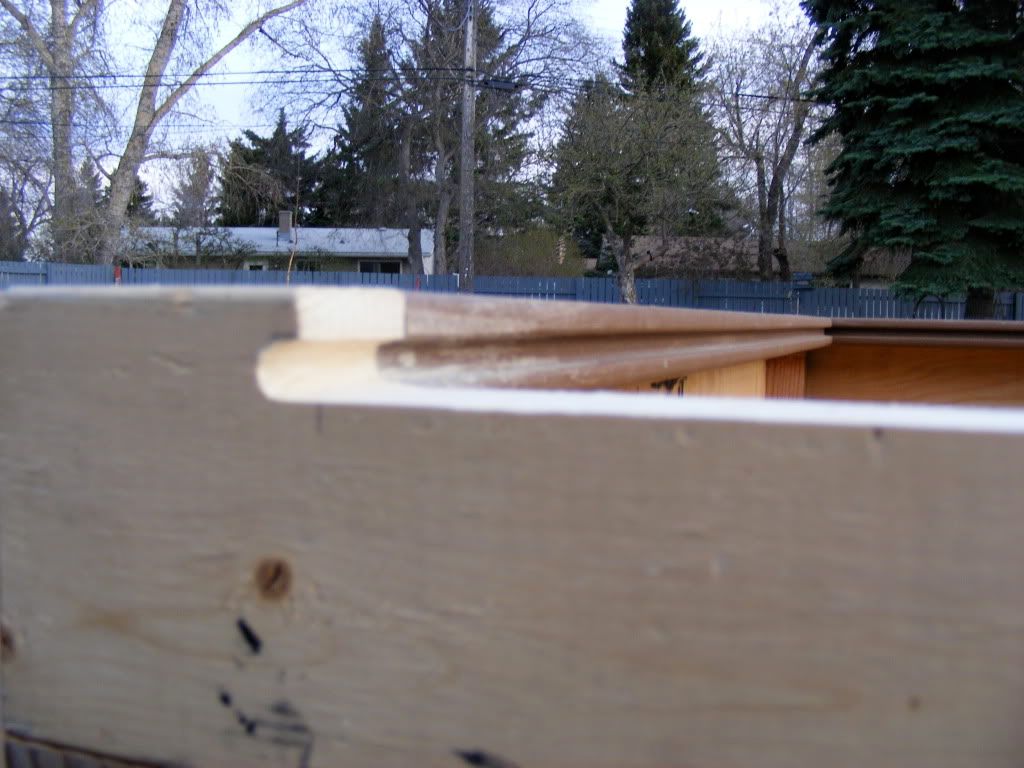 DSCF2236.jpg