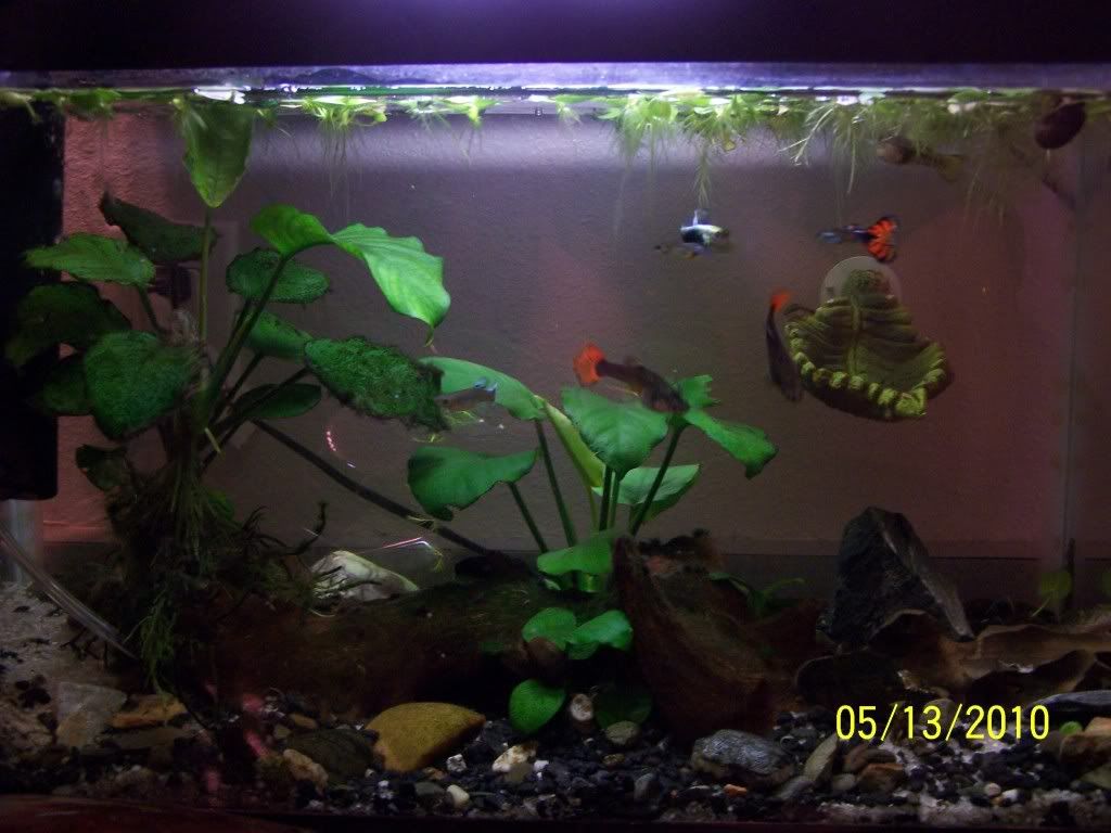 Picture024.jpg