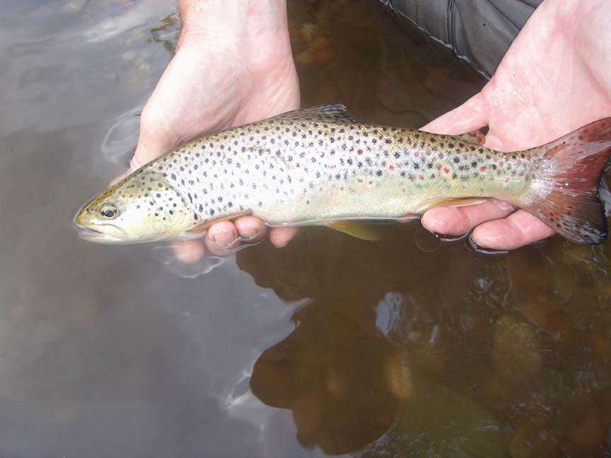 d7OxhO.jpg