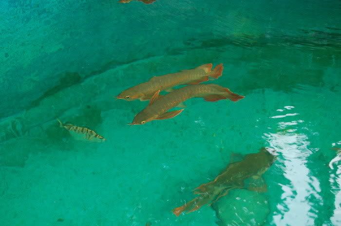 DSC_9058_resize-1.jpg