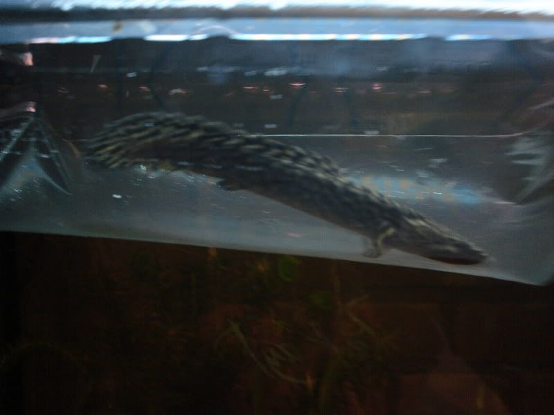 DSC01510-1.jpg