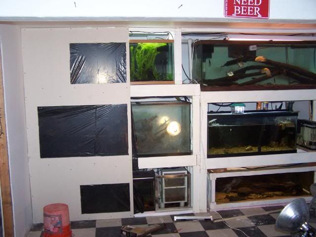 fishwall1001.jpg