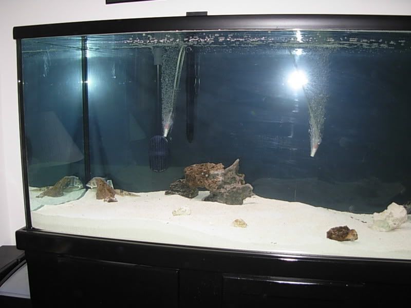 DSCN1259.jpg
