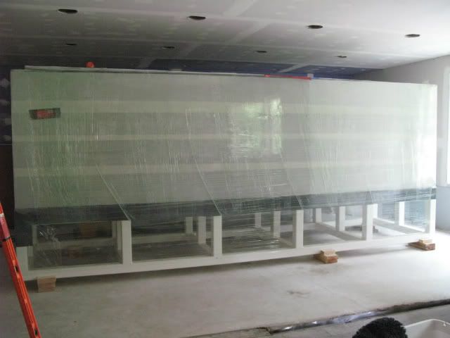 t-2-1.jpg