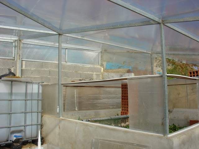 DSC04662.jpg