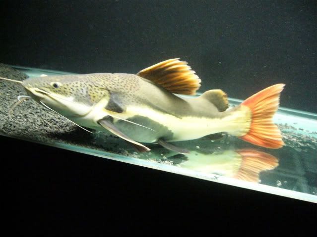 P1160474.jpg