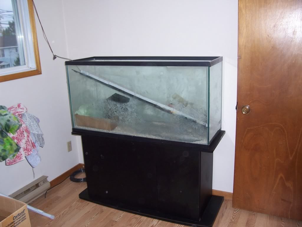 tank_002.jpg