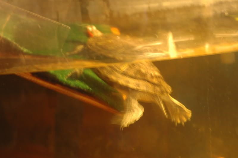 DSC_0008.jpg