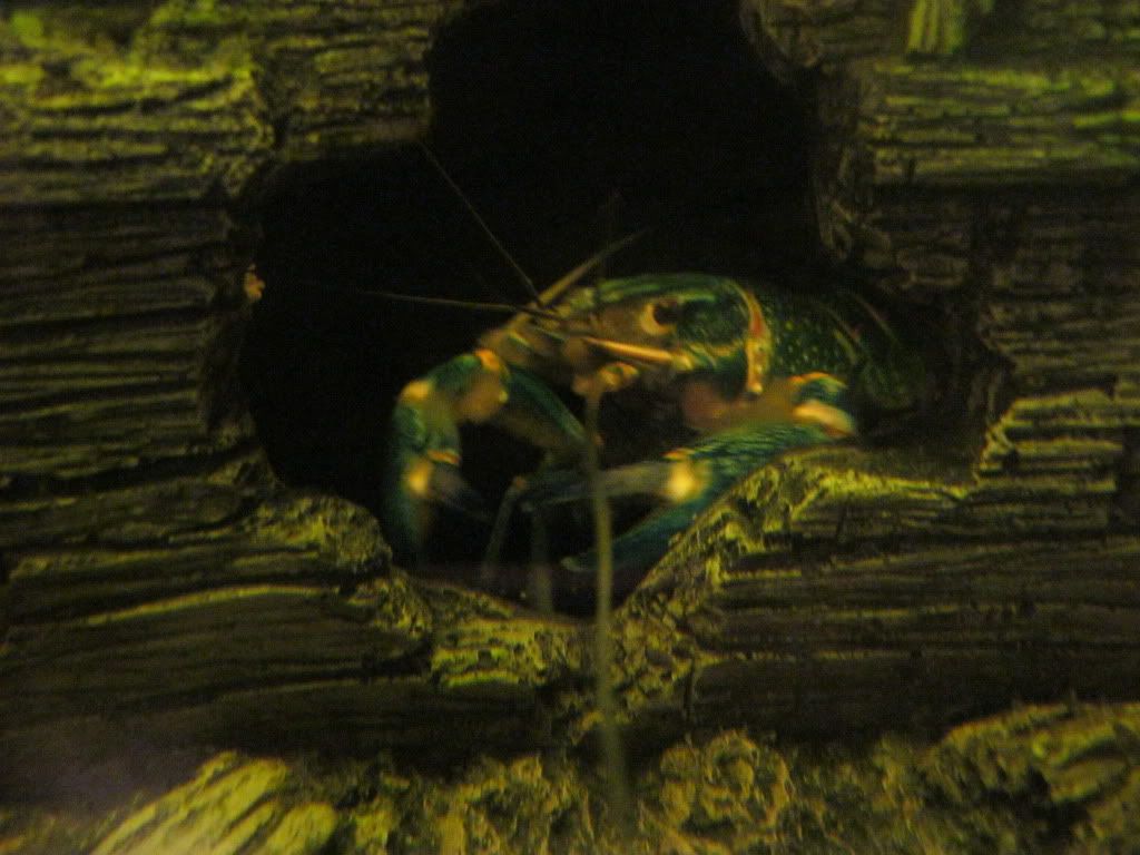 IMG_0152.jpg