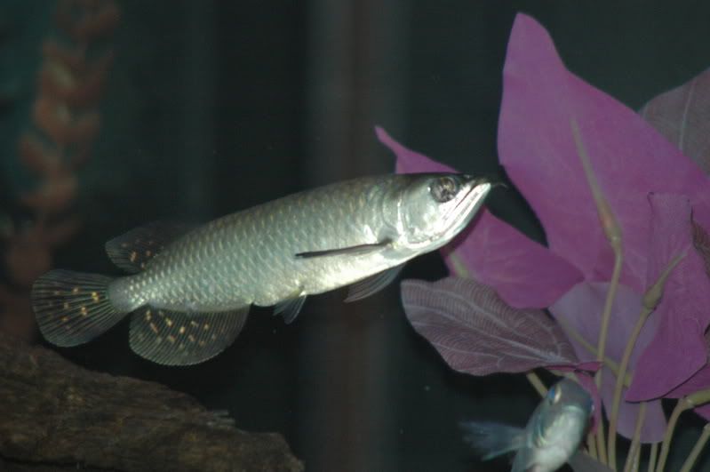 DSC_0739.jpg
