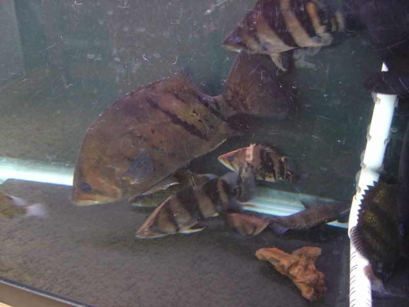 11-19-07051.jpg