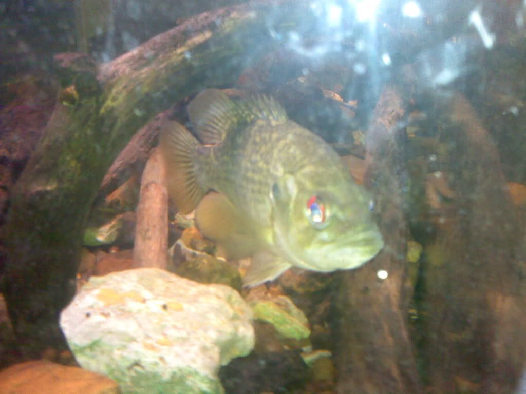 1006091540.jpg