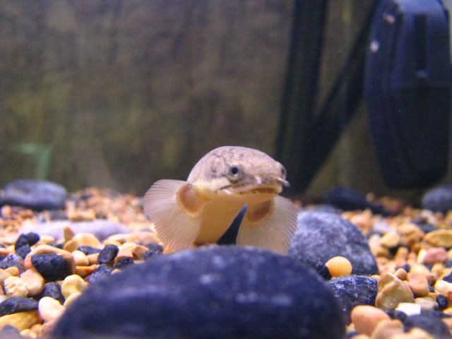 Picture021.jpg