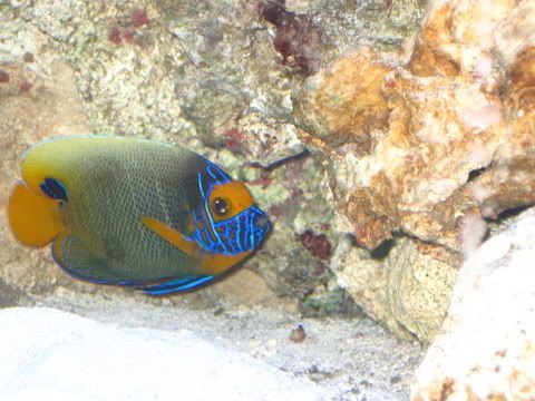 IMG_0496.jpg