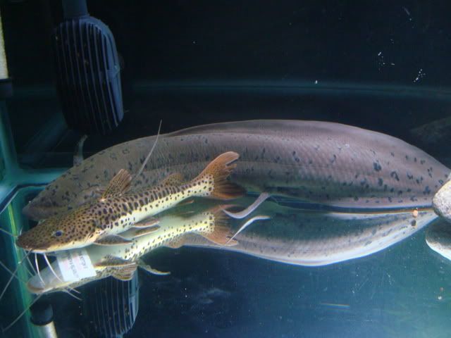 DSC07965.jpg