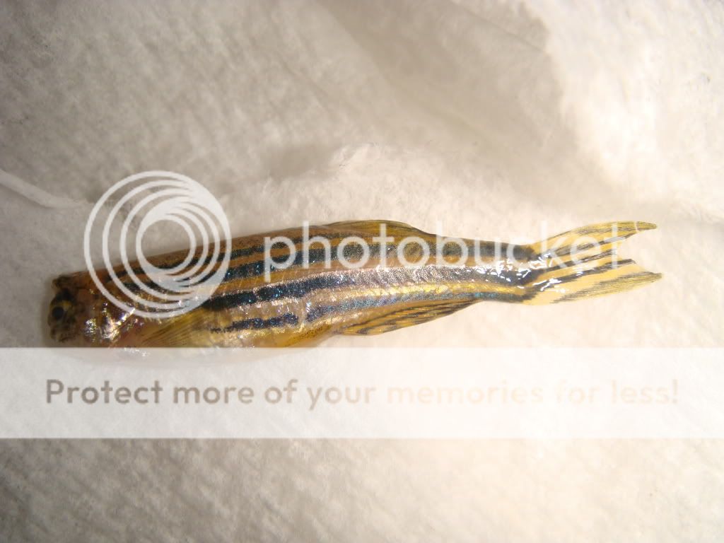 DSC08550.jpg