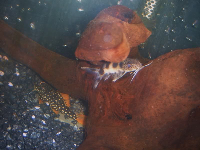 DSCF5129.jpg