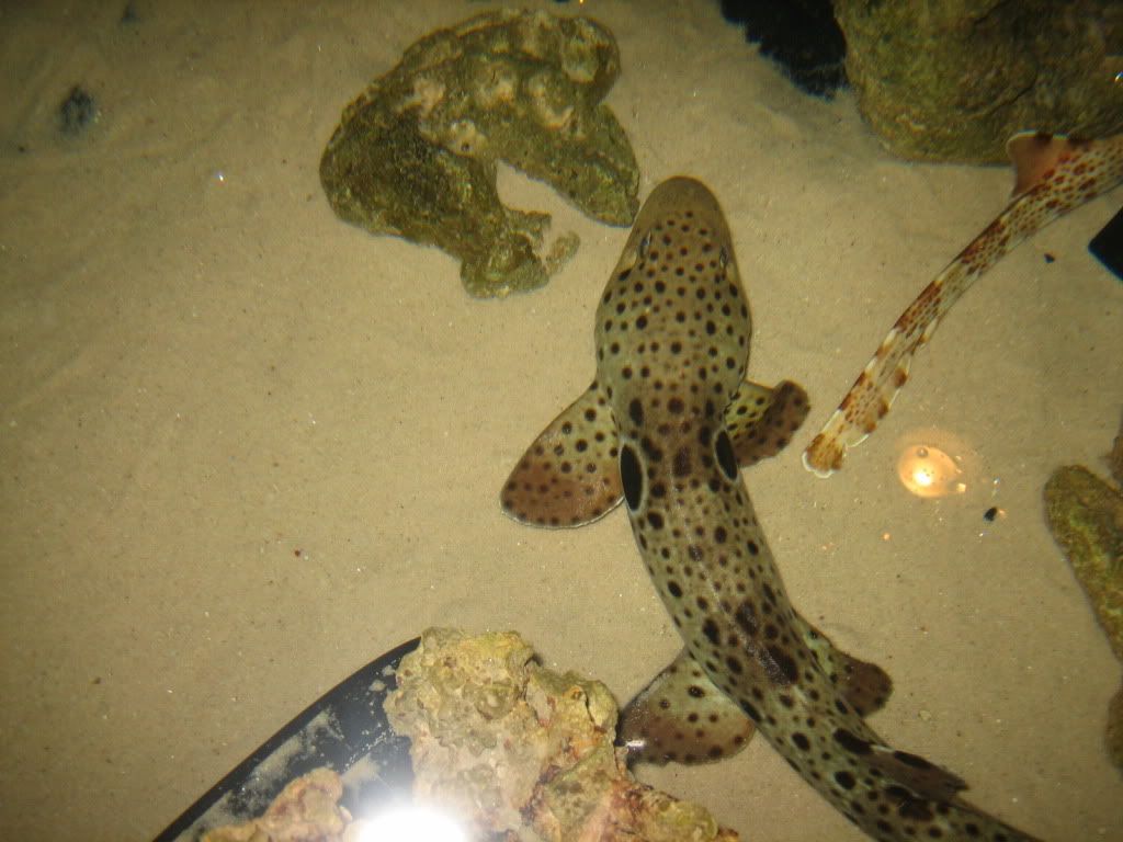 IMG_0398.jpg