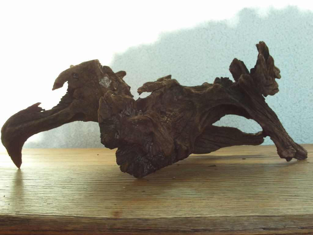 FILE0441.jpg